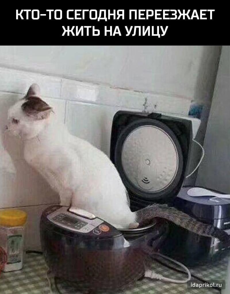 КТОТО СЕГОДНЯ ПЕРЕЕЗЖАЕТ ЖИТЬ НА УЛИЦУ А _ _1 а Маргі п_ г _ _ 22 1 и и ч