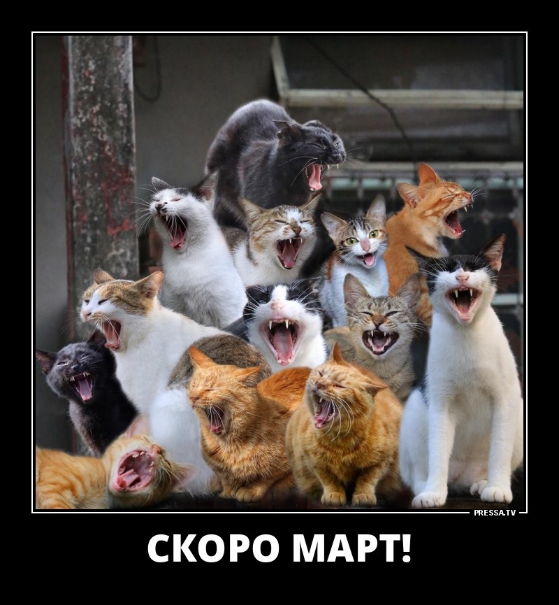 СКОРО МАРТ