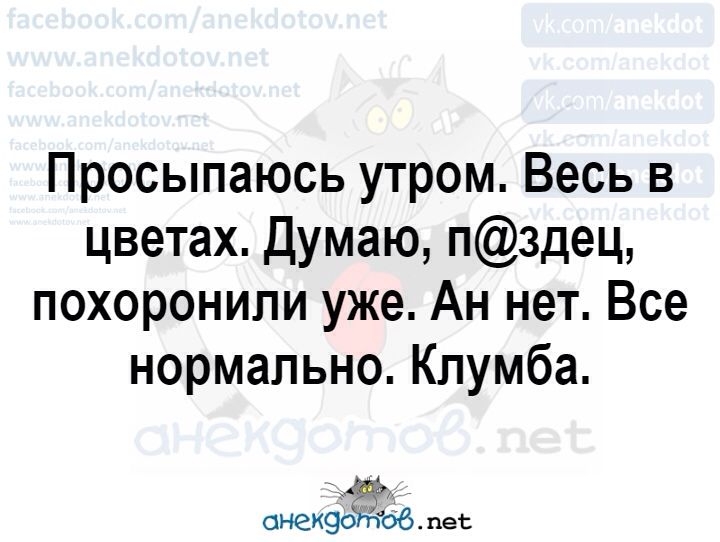 Просыпаюсь утром Весь в цветах Думаю пздец похоронили уже Ан нет Все нормально Клумба снекэоЖов пеі