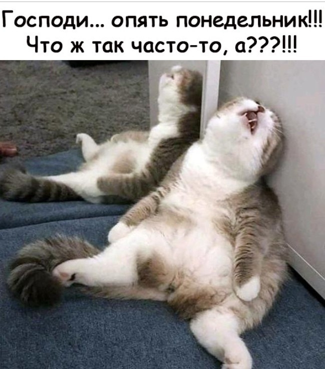 Господи опять понедельник Что ж так часто то а
