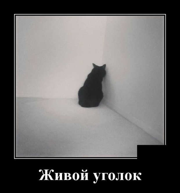 Живой уголок