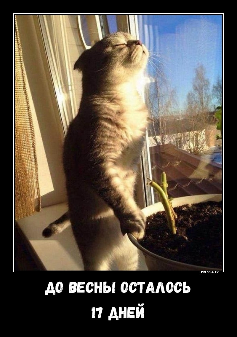 до весны остмось 11 дней