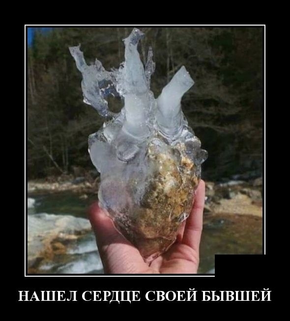 НАШЕЛ СЕРДЦЕ СВОЕЙ БЫВШЕЙ