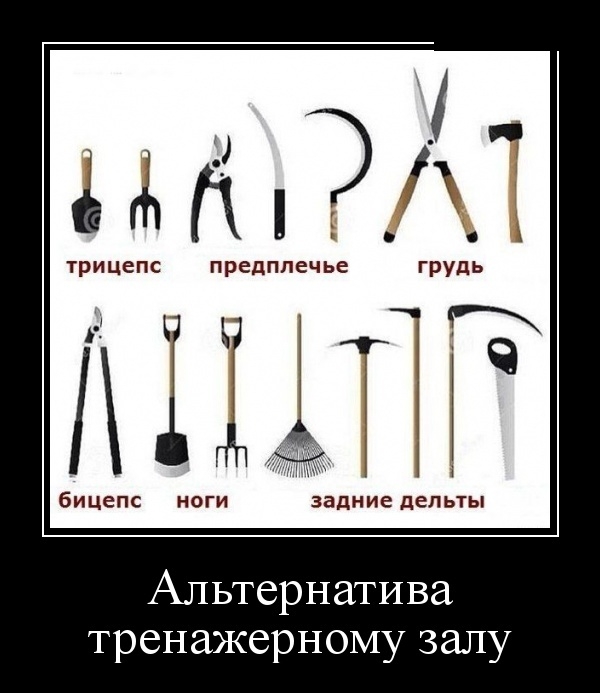 іц дуб трицепс предплечье грудь і м1 бИЦеПС НОГИ задние дельты Альтернатива тренажерному залу