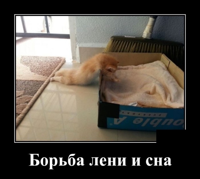 Борьба лени и сна