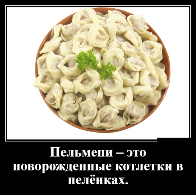 Пельмени это новорожденные котлетки в пелёнках
