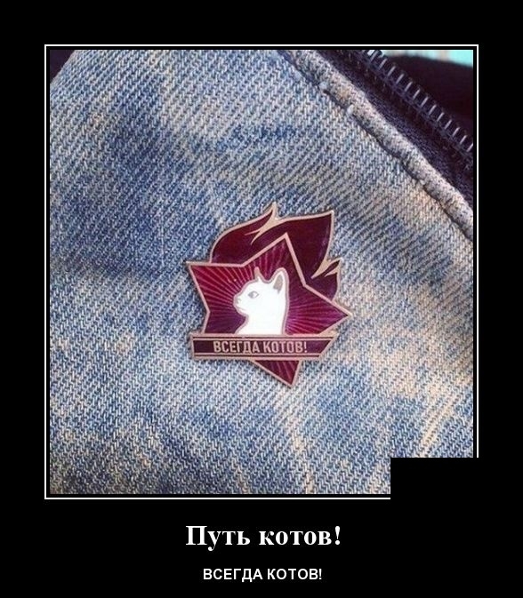 Путь котов ВСЕГДА КОТОЕ