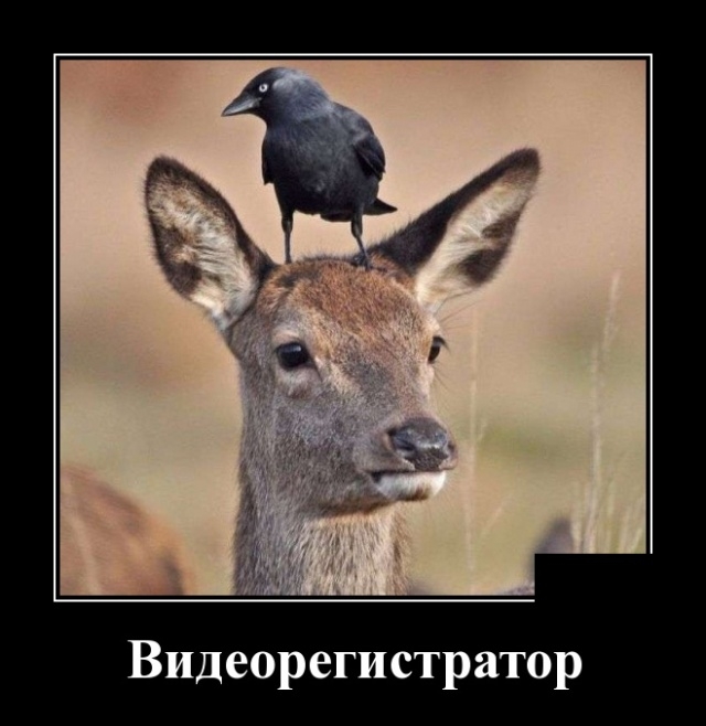 Видеорегистратор