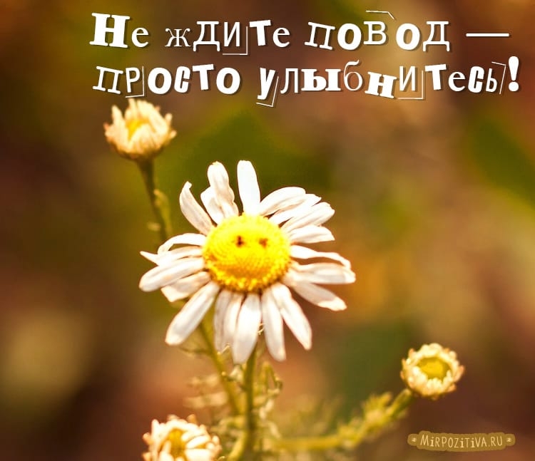 Не ЖДШТС ПОЁ9Д нетто ШльпбнШтевЫ О