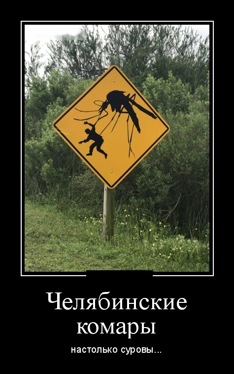 Челябинские комары настолько суровы