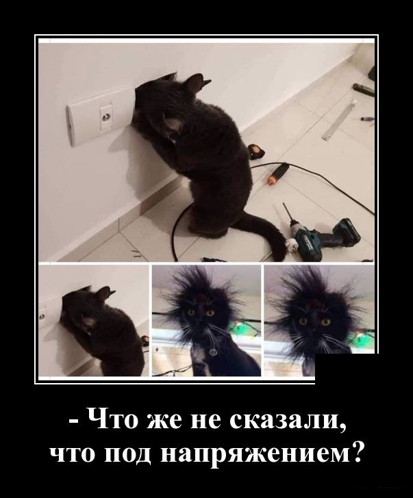 Что же не сказали что под напряжением