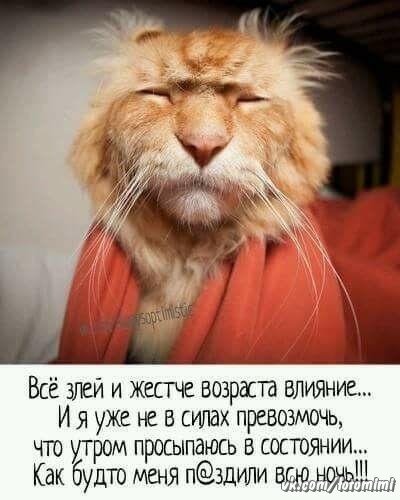 Всё злеи и жестче возраста ВЛИЯНИС И я уже не в стих превозмочь что утром прошпдюсь в состоянии Как будт Я НЗдипи 31