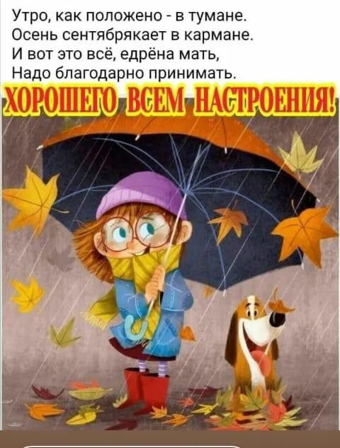 Утро как положено в тумане Осень сентябрпкает в кармане И вот это всё едрёна мать Надо благодарно принимать