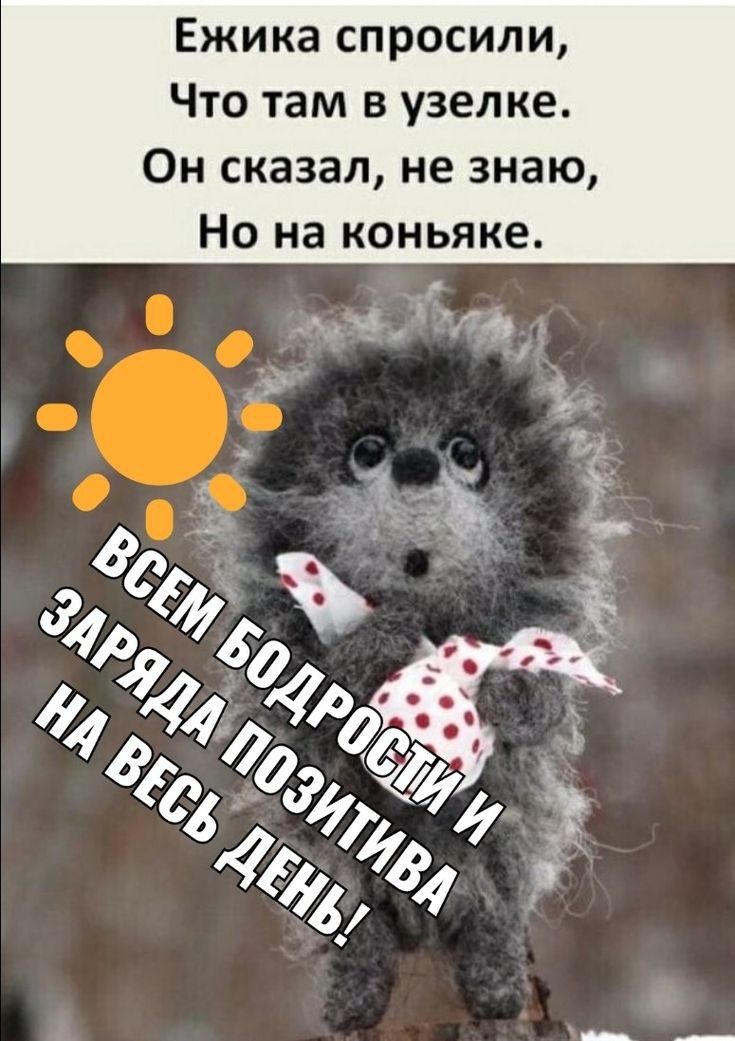 Ежика спросили Что там в узел ке Он сказал не знаю Но на коньяке