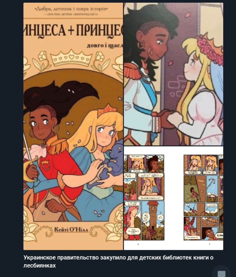 Украинские правительство закупило для детских библиотек книги о песбиянках