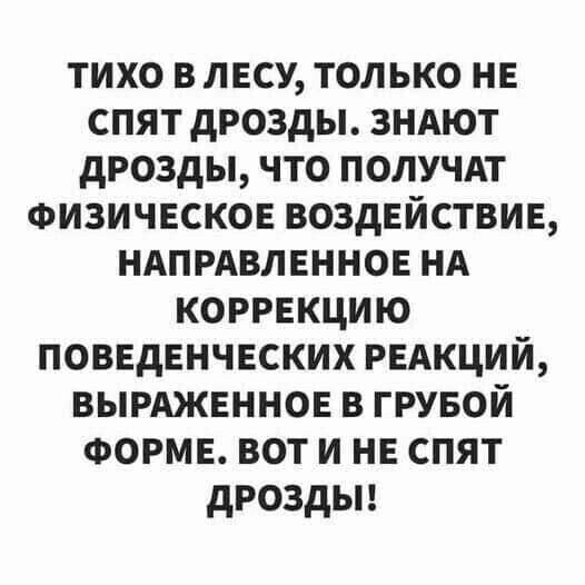 тихо в лесу только не спят дрозды зндют дрозды что получдт Физическое воздействие ндпрдвленное НА коррекцию поведенческих РЕАКЦИЙ вымженное в грувой ФОРМЕ вот и не спят дроздьп