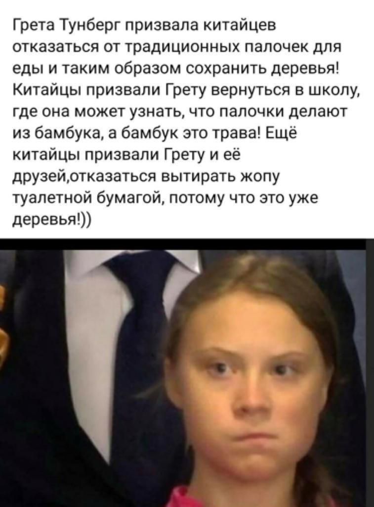 Грета Тунберг призвала китайцев отказаться от традиционных палочек для еды и таким образом сохранить деревья Китайцы призвали Грету вернуться в школу где она может узнать что палочки делают из бамбука а бамбук это трава Ещё китайцы призвали Грету и её друзейртказаться вытирать жопу туалетной бумагой потому что это уже деревья