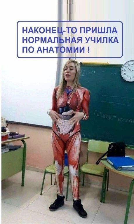 НАКОНЕЦТО ПРИШЛА НОРМАЛЬНАЯ УЧИЛКА ПО АНАТОМИИ
