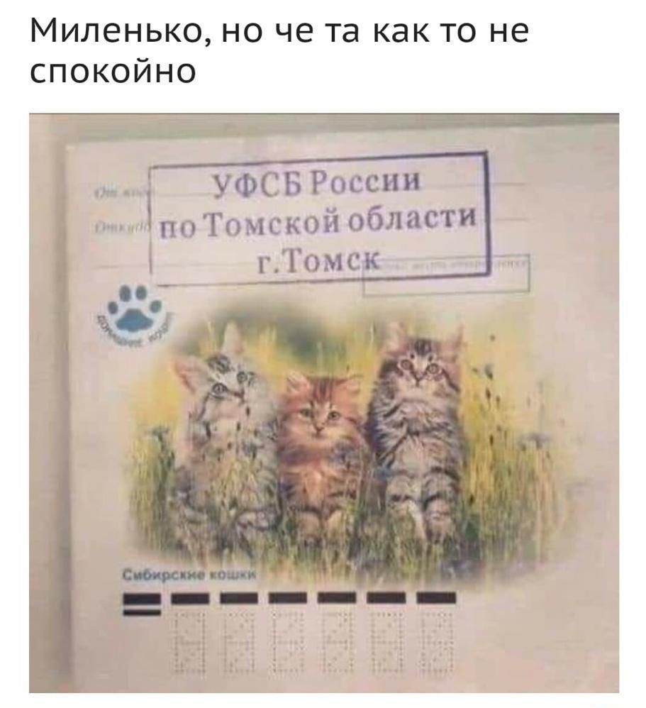 Миленько но че та как то не спокойно УФСБ России по Тпмскпй области гЦГомск