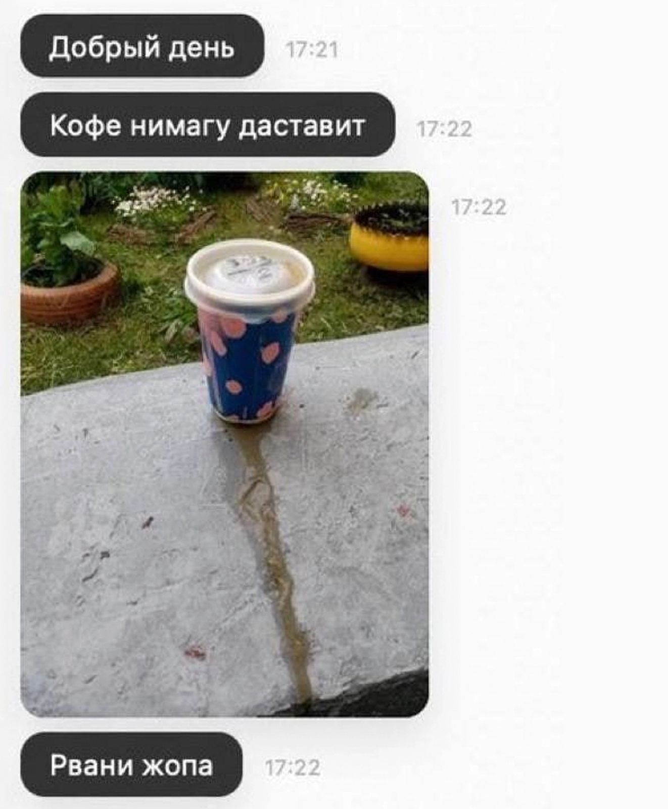 добрый день Кофе нимагу даставит