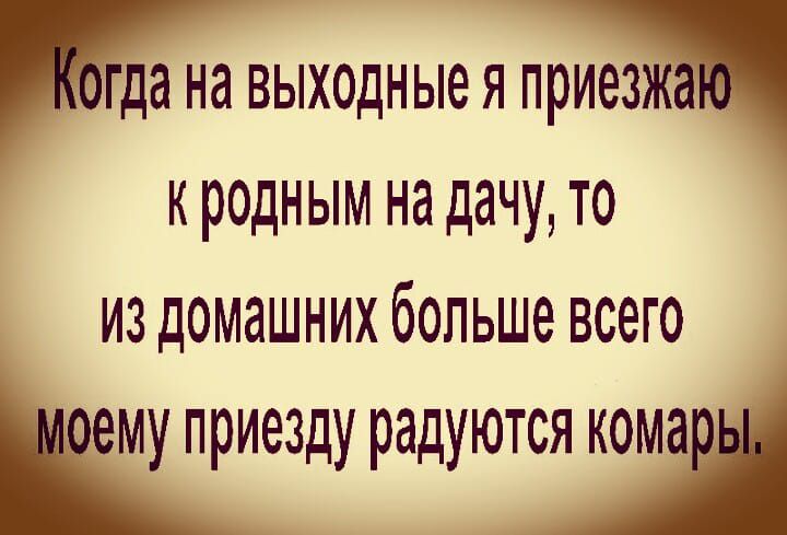 гда на выходныея приезж к родным на дачу то из домашних больше всего ему приезду радуются комаіі