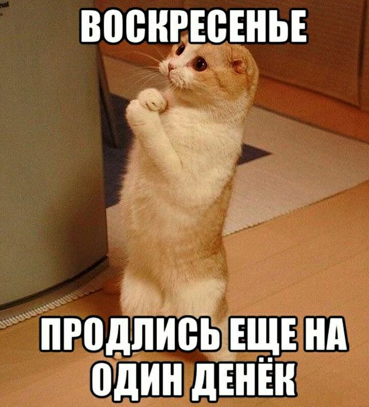ВПЁНРЕБШЬЕ ПРВДЛИВЬЪЕЩЕ А один дЕНЕН