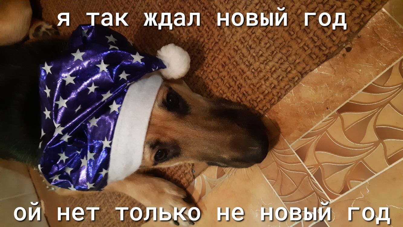я так ждал новый год ой нет тойо не