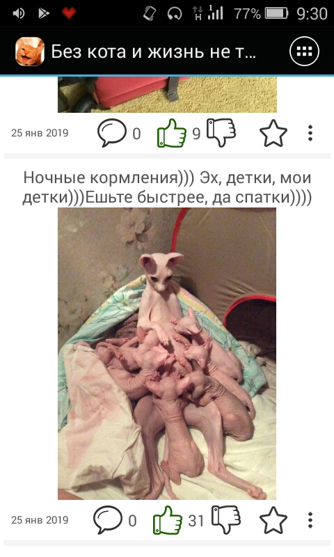 9 С ТТЦЁ 930 БЕЗ КОТЭ И ЖИЗНЬ не Т иэянпшш О 1539 3 Ночные кормления Эх детки мои деткіиЕшьте быстрее да спатки 25 янв 2019 О