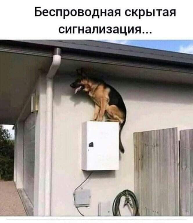 Беспроводная скрытая СИГНЗЛИЗЭЦИЯ
