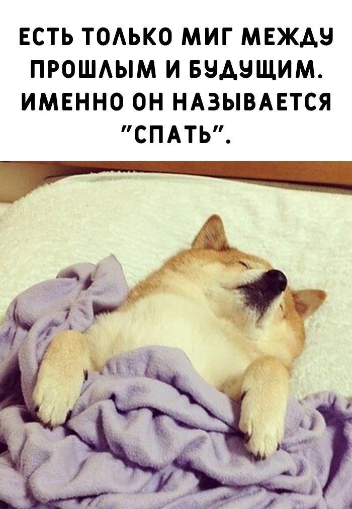 ЕСТЬ ТОАЬКО МИГ МЕЖАЧ ПРОШАЫМ И БЭАЧЩИМ ИМЕННО ОН НАЗЫВАЕТСЯ СПАТЬ