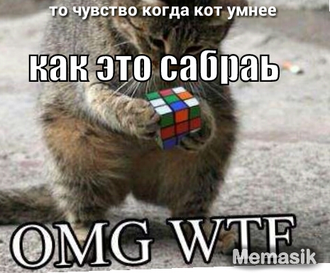 гда котумшз 4