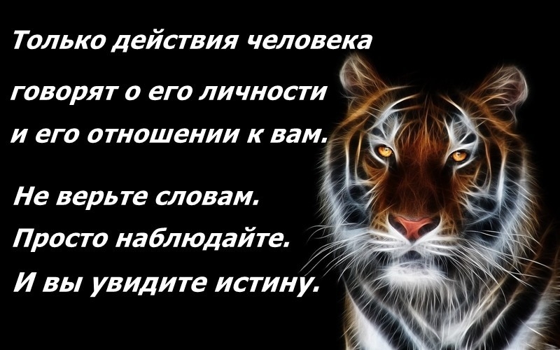 Только действия человека ГОВОРЯТ О ЕГ О ЛИЧНОСТИ И ЕГ О ОТНОШЕНИИ К вам Не верь те словам Просто наблюдайте И вы увидите истину