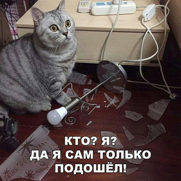 ктозг 333 дАясАм только Ё _ п9дощЁлці