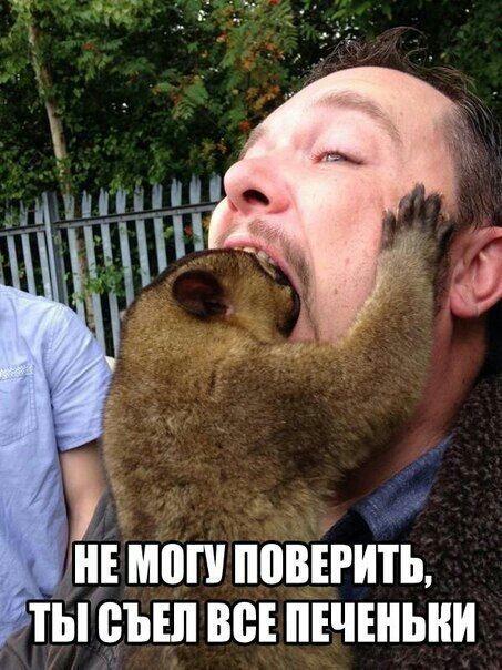 5 гншоп повтгйіь ты вып всі ПЕЧЕНЫШ