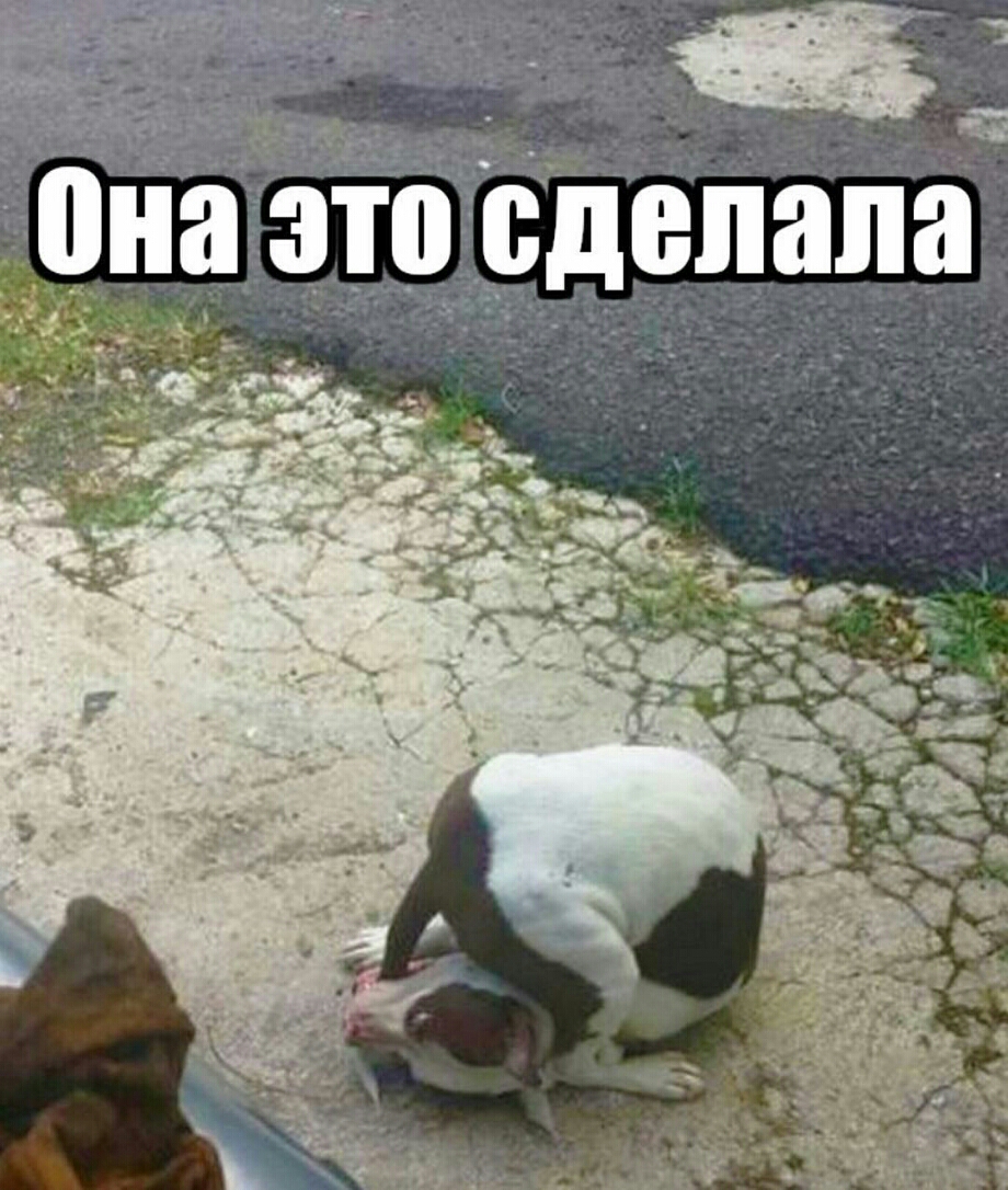 она ато г