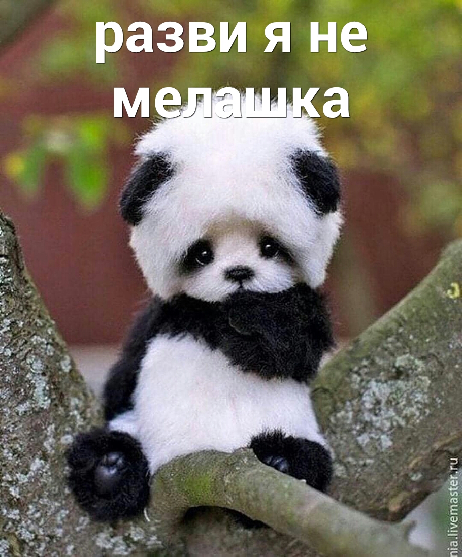 Развит Е Ё Е Ф Е Ё