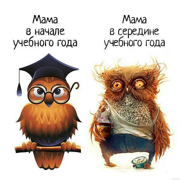 Мама Мама в начале в середине учебного года учебного года
