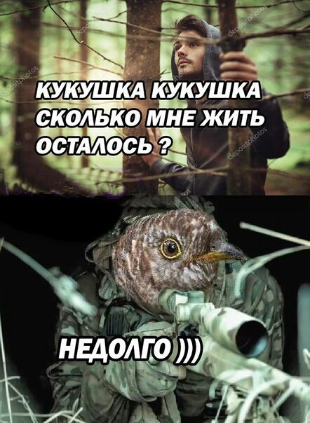 и пі МНЕ КИТЬ КУКУШКА іікуш ько