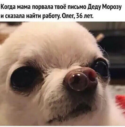 Когда мама порвала твоё письмо Деду Морозу и сказала найти работу Олег 36 лет