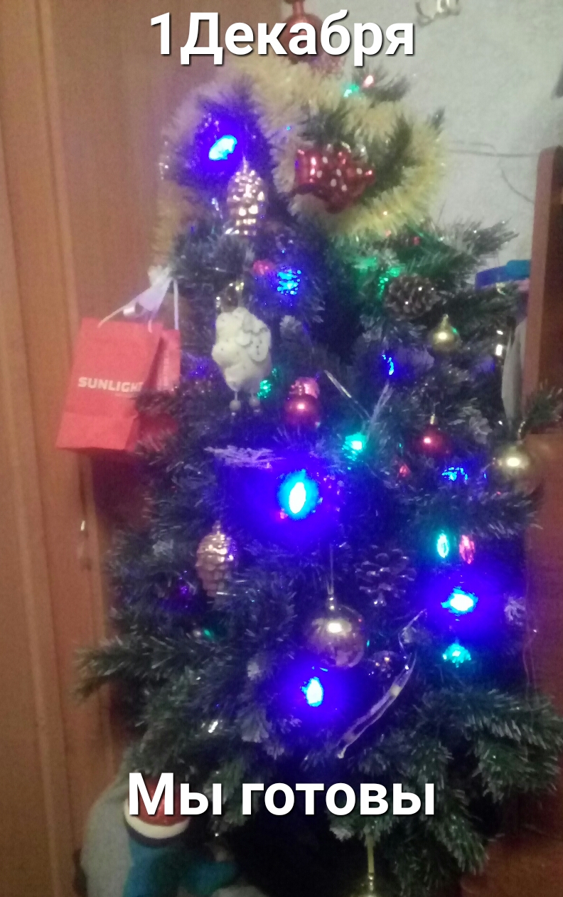 мы гоТовы