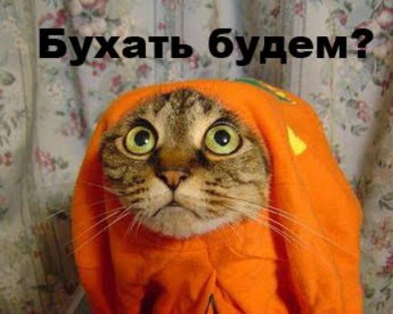 ЁУхать 6ем