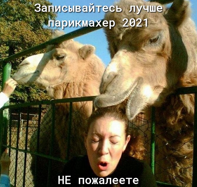 НЕ пожалеете