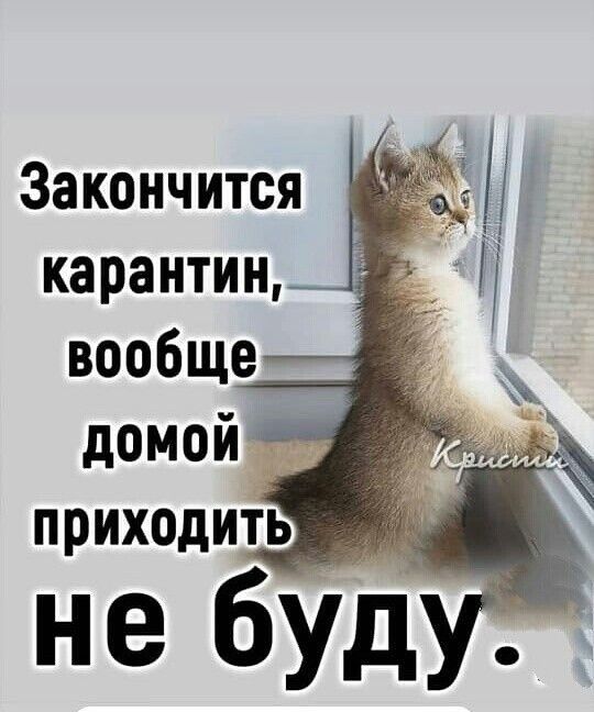 Закончится карантин