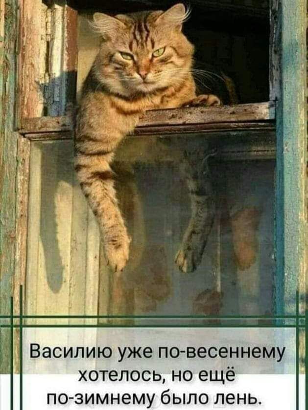 Василию уже повесеннему хотелось но ещё по зимнему было лень