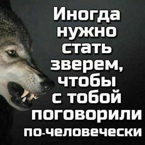 Инопда ъцркно стать зверем чтобьп стобой поговорили ПО ЧЕПОВЕЧЕСКИ