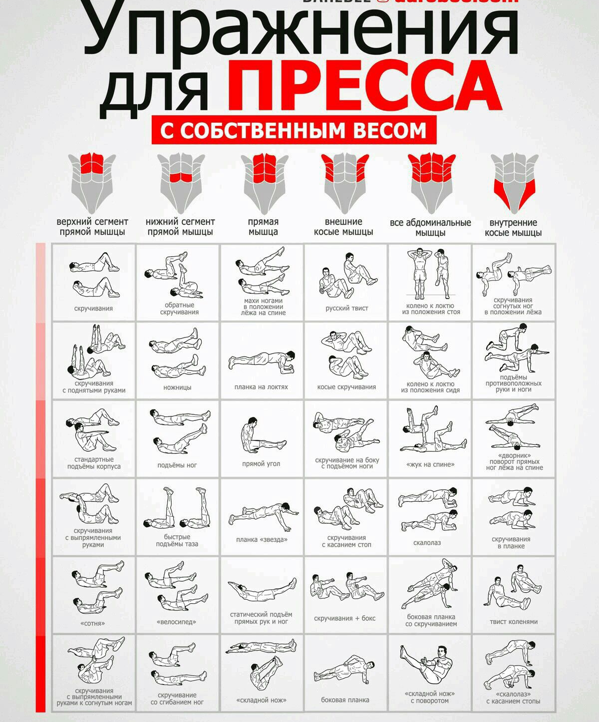 Упражнения для ПРЕССА і іі верхний сегмент прямой мышцы нижний сегмент прямой мышцы г _ пбратные скручивания кпучивдния с политтьтитт руками 63 стандартььте подьем корпуса ипжницьт скручивания с Былинытемными быстрые руками подъемы иза скручивание со сгибаииеи иог каучиванин выпрямпснными руками кпгнпым нвгам прямая мышца 15 махи ногами в положении е тв ие спине Е ппаииа на липях прямой гтпоиид зв