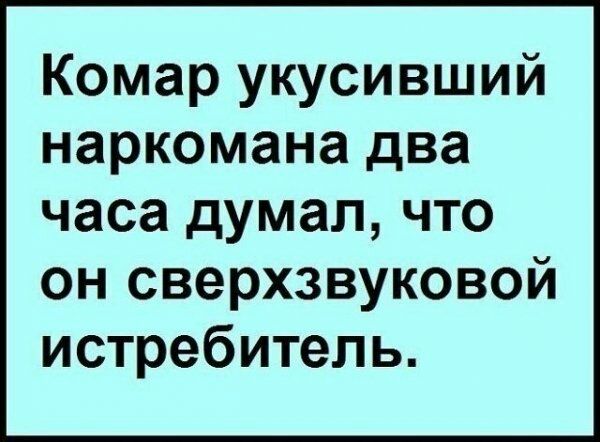 Комар укусивший наркомана два часа думал что он сверхзвуковой истребитель