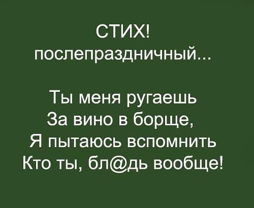 СТИХ послепраздничный Ты меня ругаешь За вино в борще Я пытаюсь вспомнить Кто ты бпдь вообще