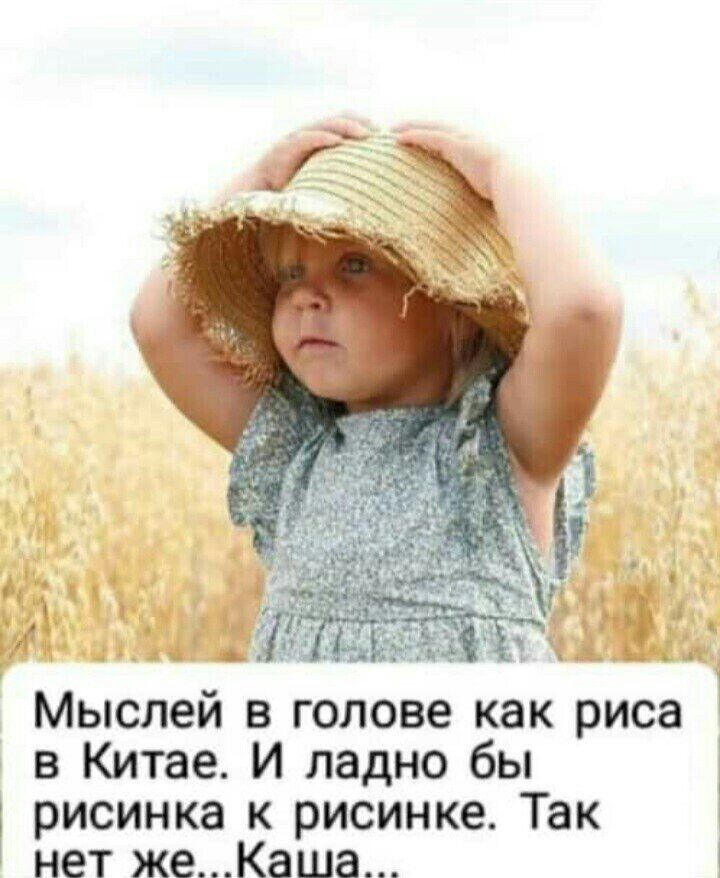И Мыслей в голове как риса в Китае И ладно бы рисинка к рисинке Так нет жеКаша 1