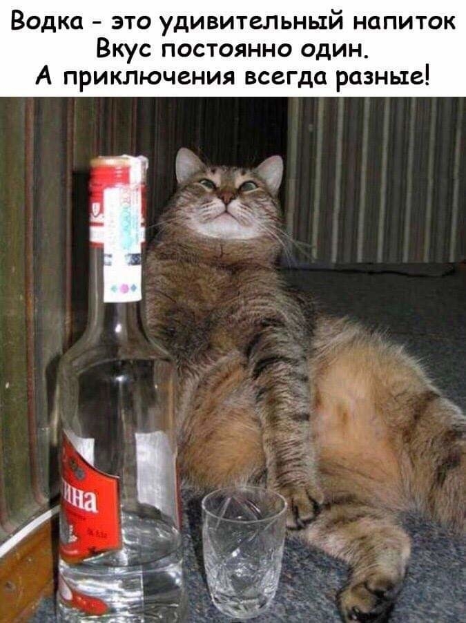 ВОДКО ЭТО УДИВИТЗЛЬНЫЙ НОПИТОК ВКУС ПОСТОЯННО ОДИН А ПРИКЛЮЧЕНИЯ всегда разные
